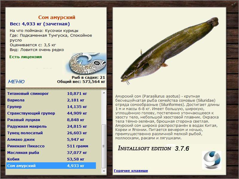 Спокойное русло 