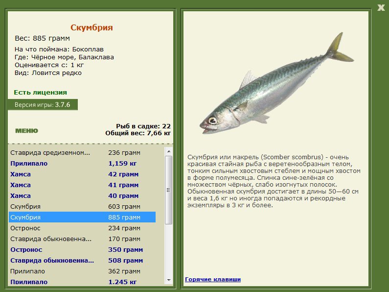 Чёрное море 