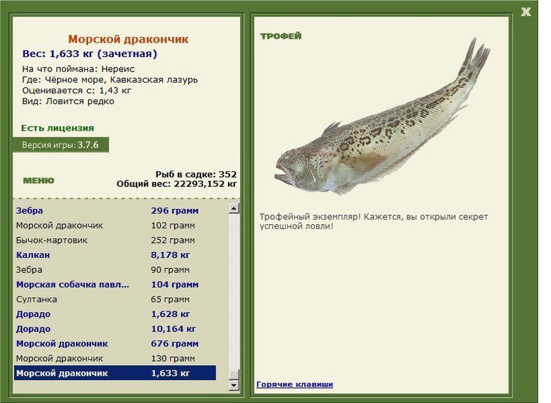 Морской дракончик 