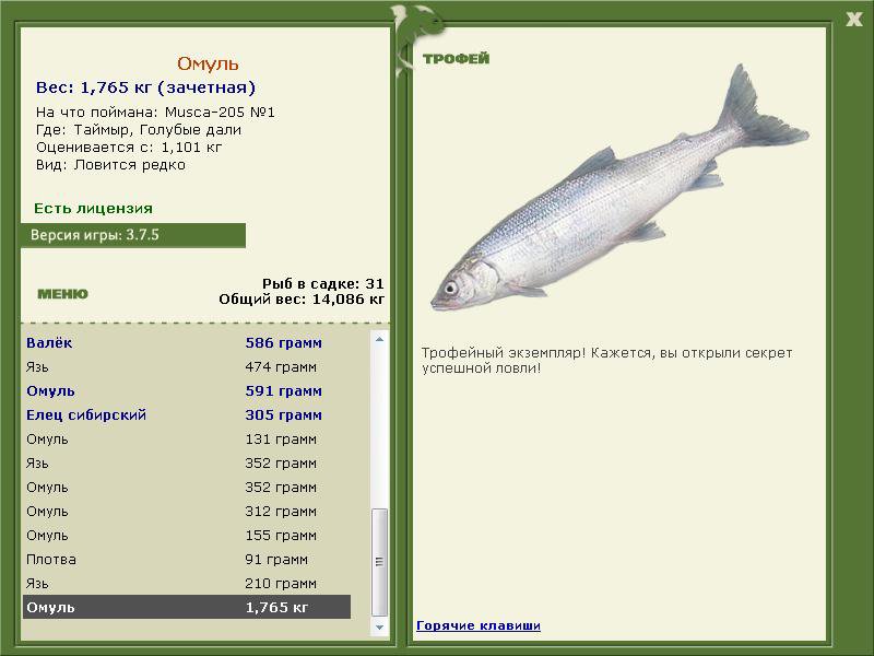 РУССКАЯ РЫБАЛКА Installsoft Edition 
