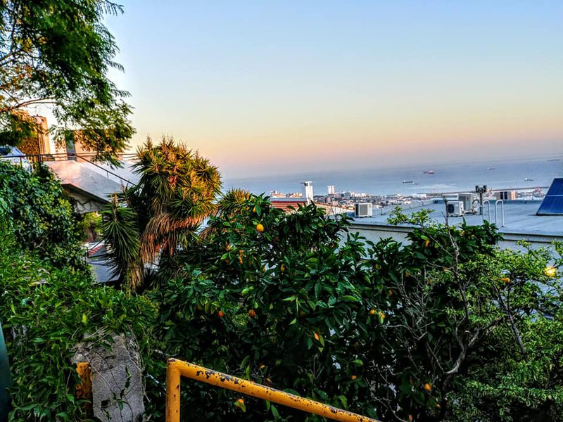 Хайфа, 7 ноября 