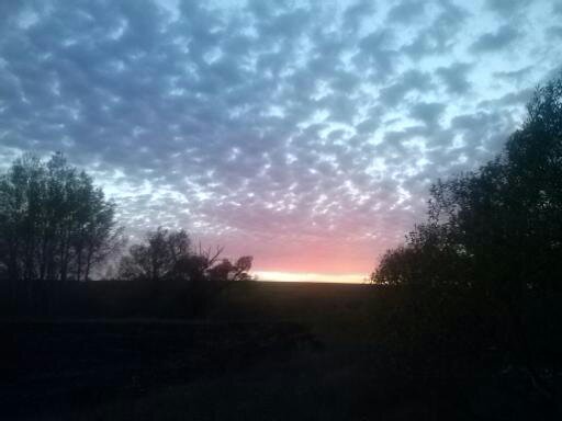  Страница 19 - Форум \\