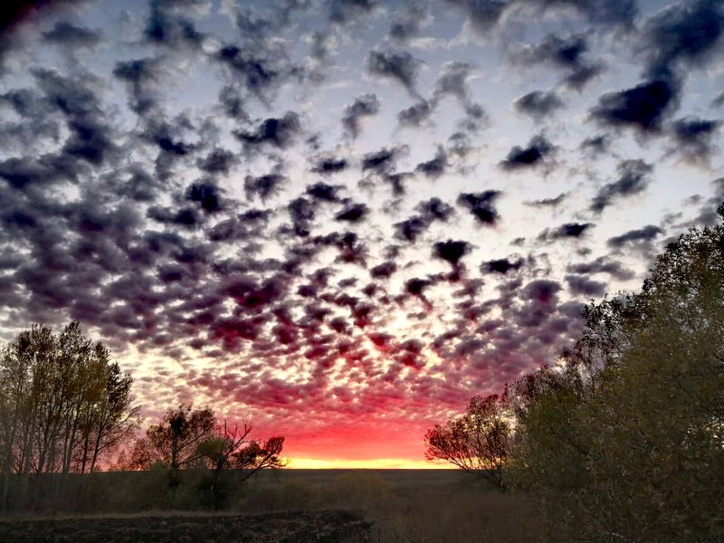  Страница 19 - Форум \\