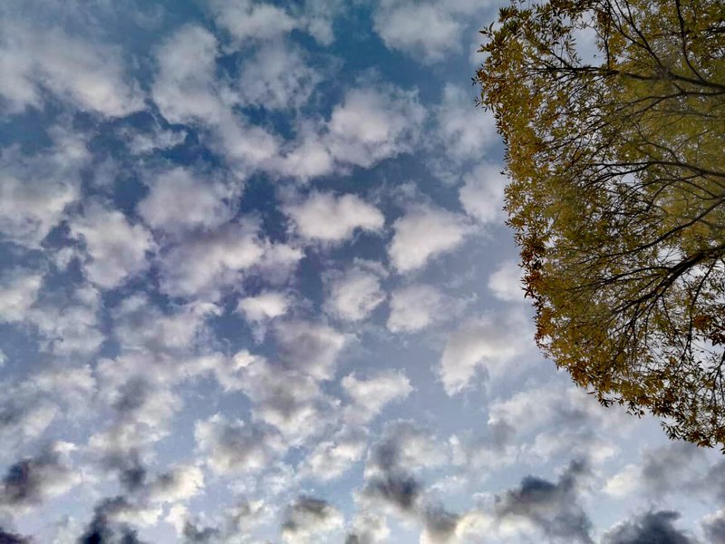  Страница 19 - Форум \\