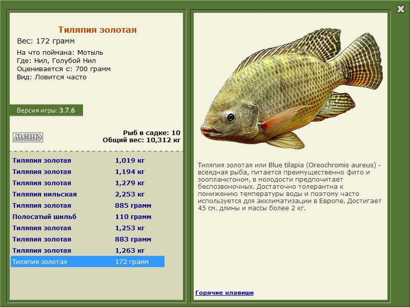 Голубой Нил 