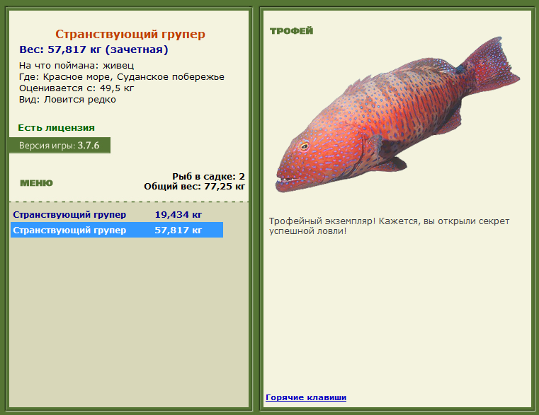 турниры • РУССКАЯ РЫБАЛКА