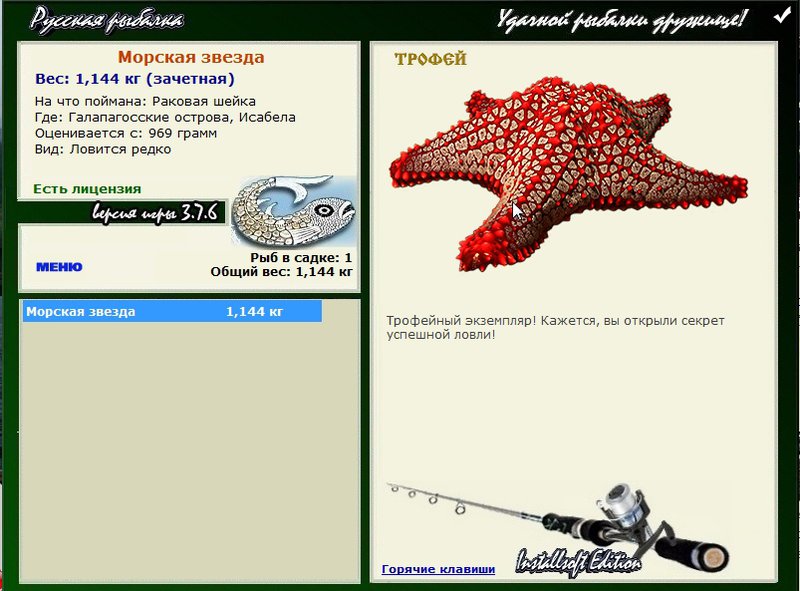 Морская звезда 