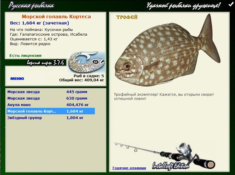 Морской голавль Кортеса 