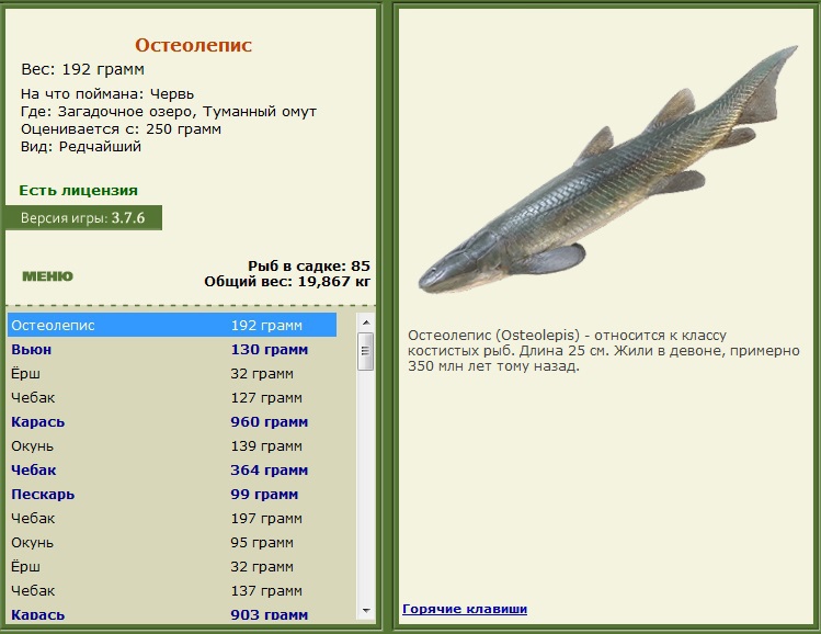 турниры • РУССКАЯ РЫБАЛКА