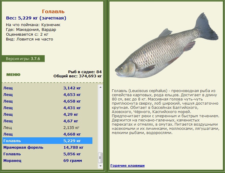 турниры • РУССКАЯ РЫБАЛКА