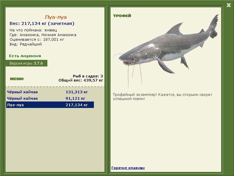 Ночная Амазонка 