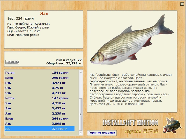 Южный залив 