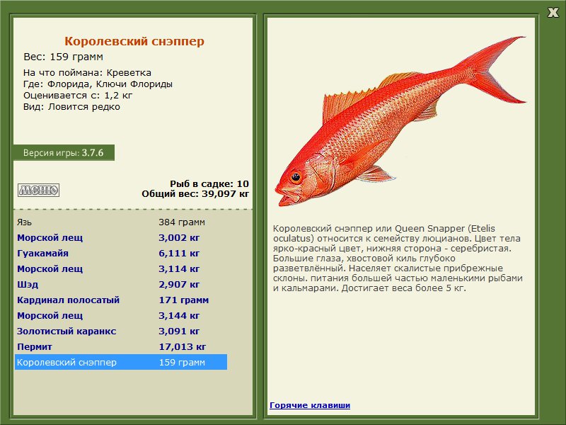 Ключи Флориды 