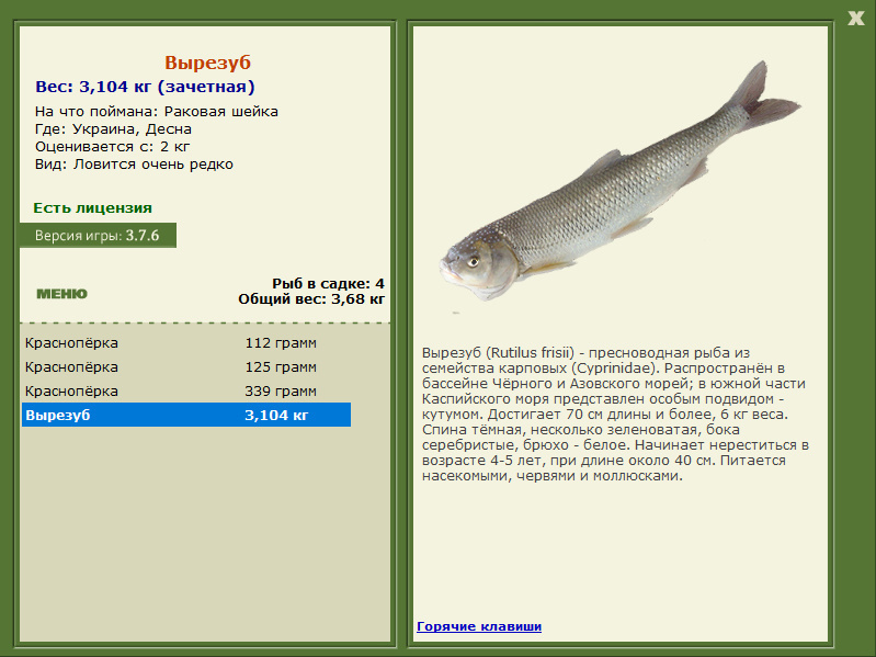 турниры • РУССКАЯ РЫБАЛКА