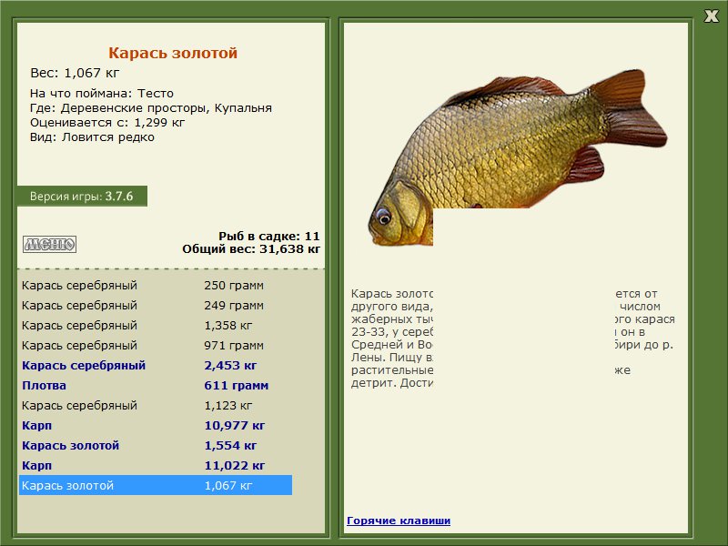 Купальня 