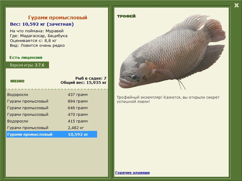 Бецибука 