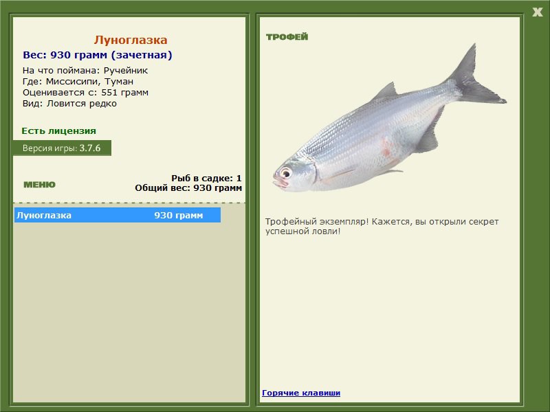 Туман 