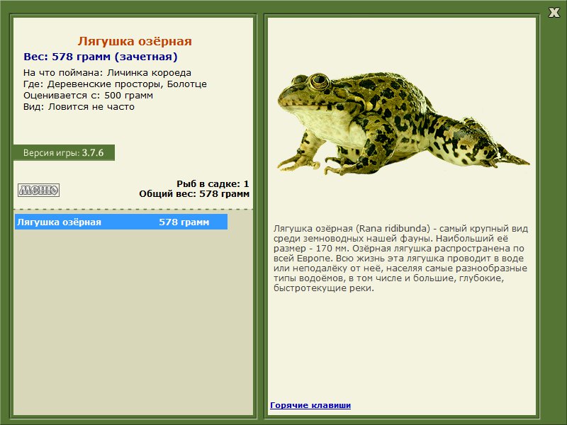 Болотце 