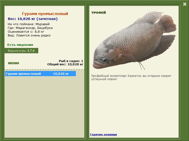 Бецибука 
