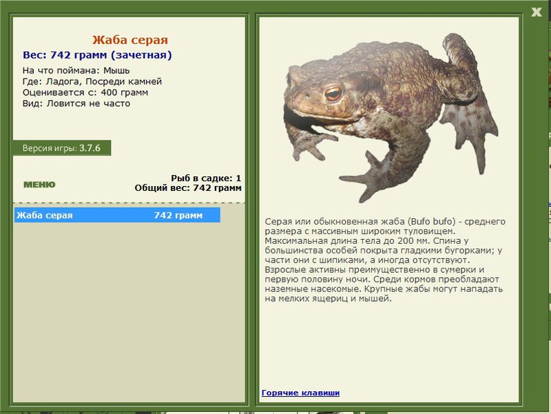Посреди камней 