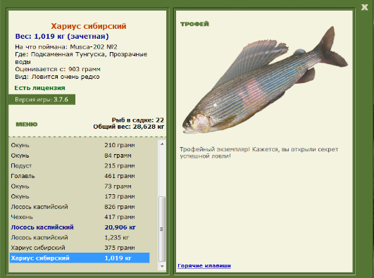 Хариус сибирский 