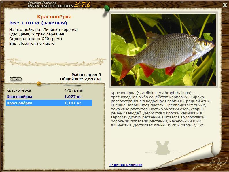 РУССКАЯ РЫБАЛКА Installsoft Edition 