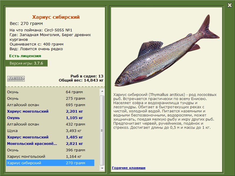 Берег древних курганов 