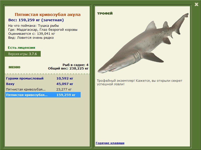 Пятнистая кривозубая акула 