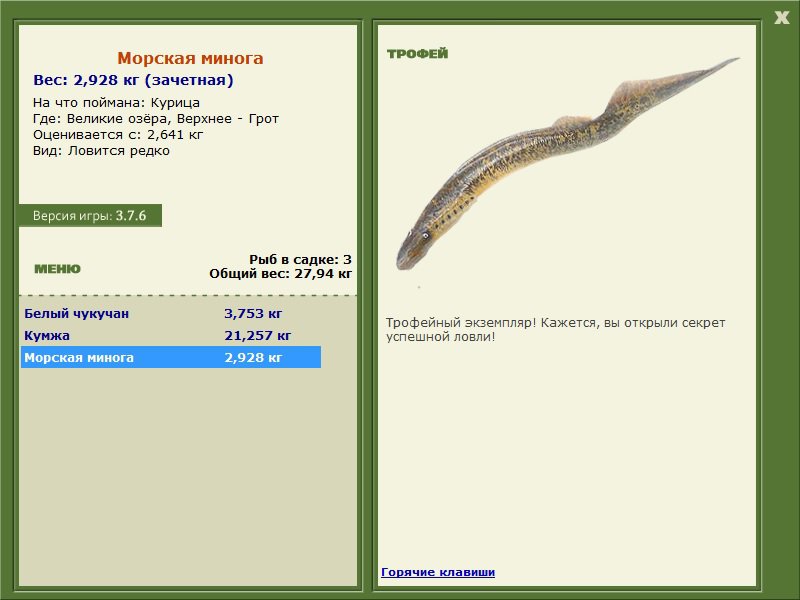 Морская минога 