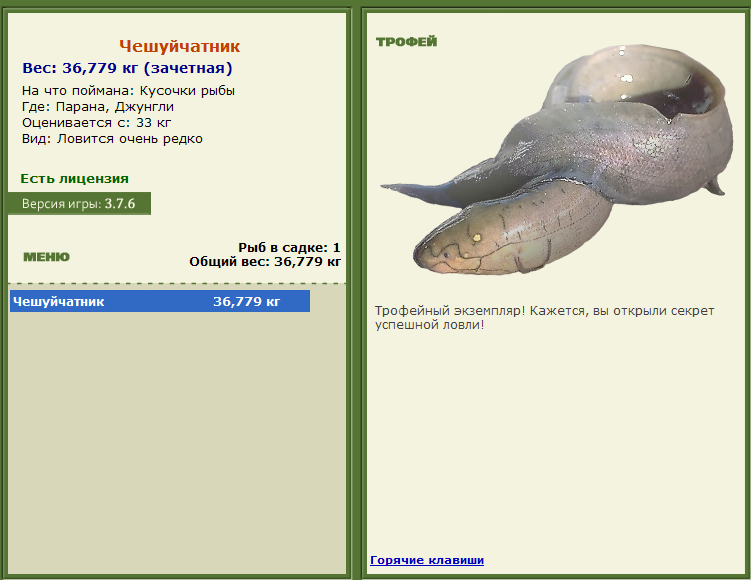 турниры • РУССКАЯ РЫБАЛКА