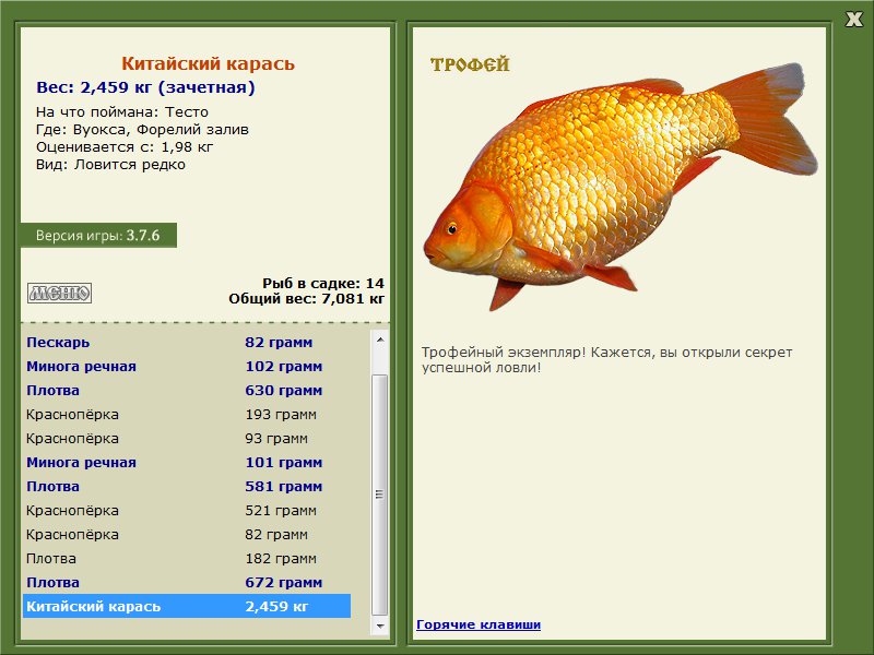 Форелий залив 