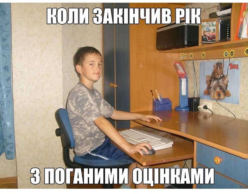  Прикольные фото