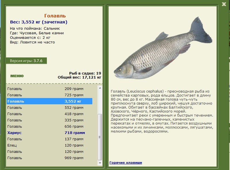Белые камни 