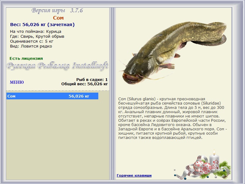 РУССКАЯ РЫБАЛКА Installsoft Edition 