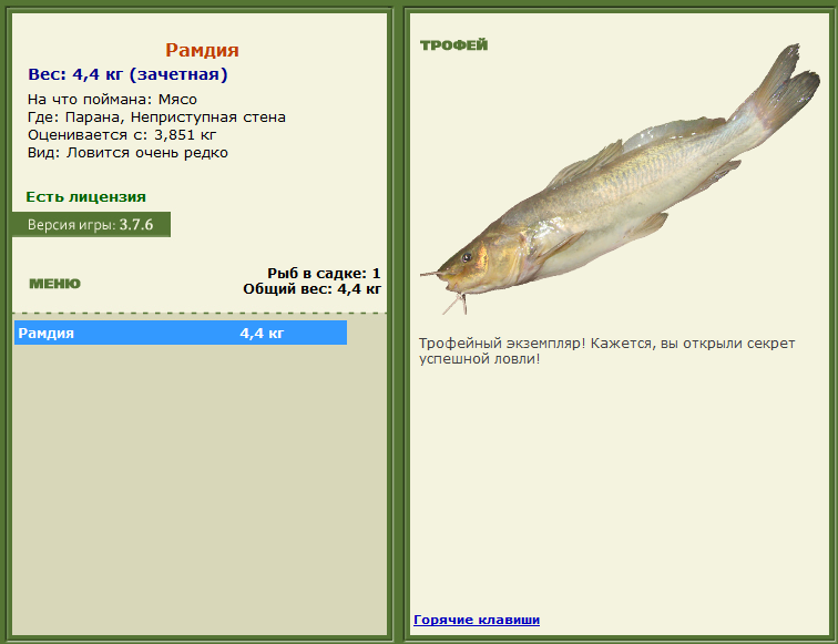 турниры • РУССКАЯ РЫБАЛКА