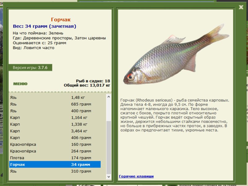Горчак 
