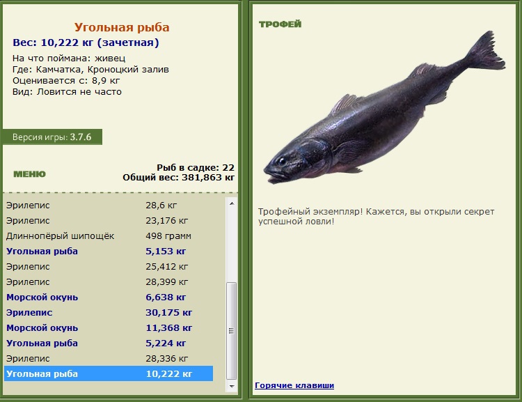 Угольная рыба 