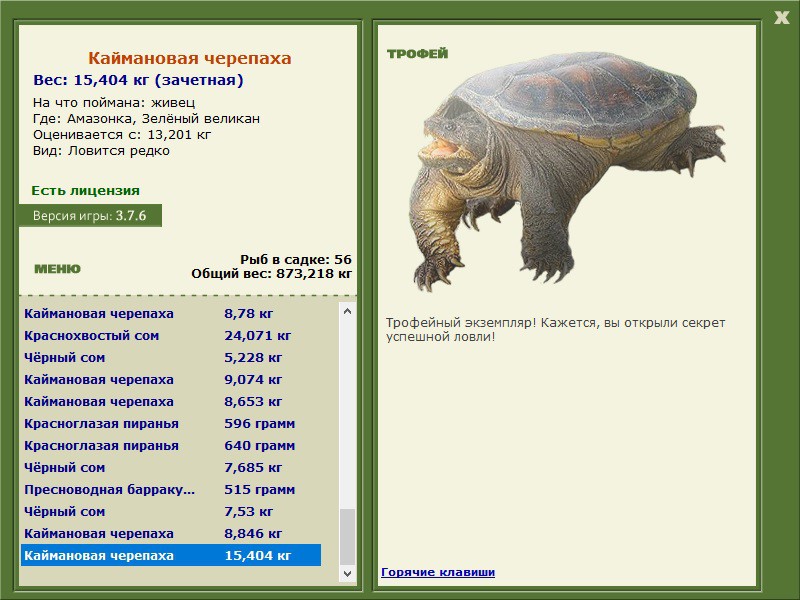 Каймановая черепаха 