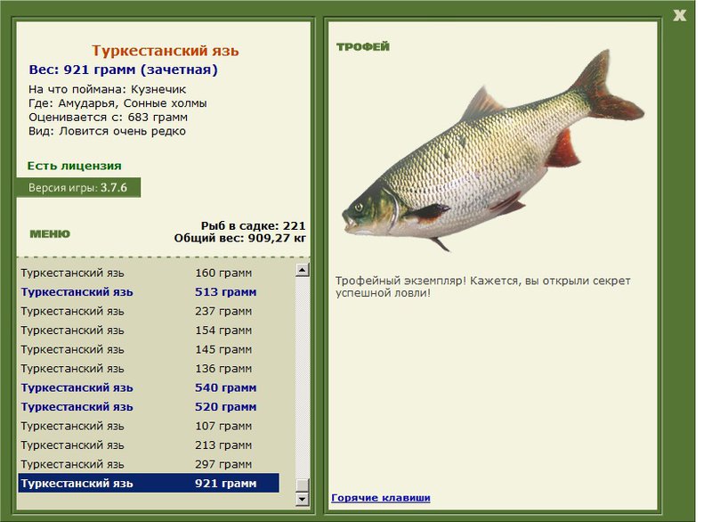 Сонные холмы 