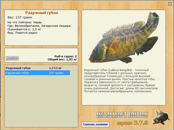 Загадочная пещера 