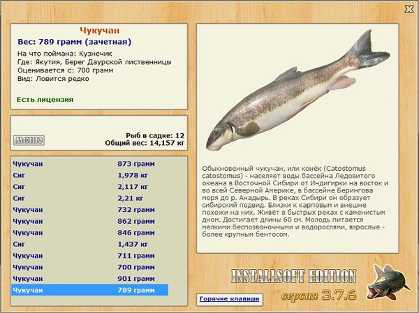 Берег Даурской лиственницы 