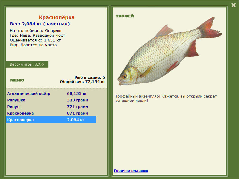 Разводной мост 