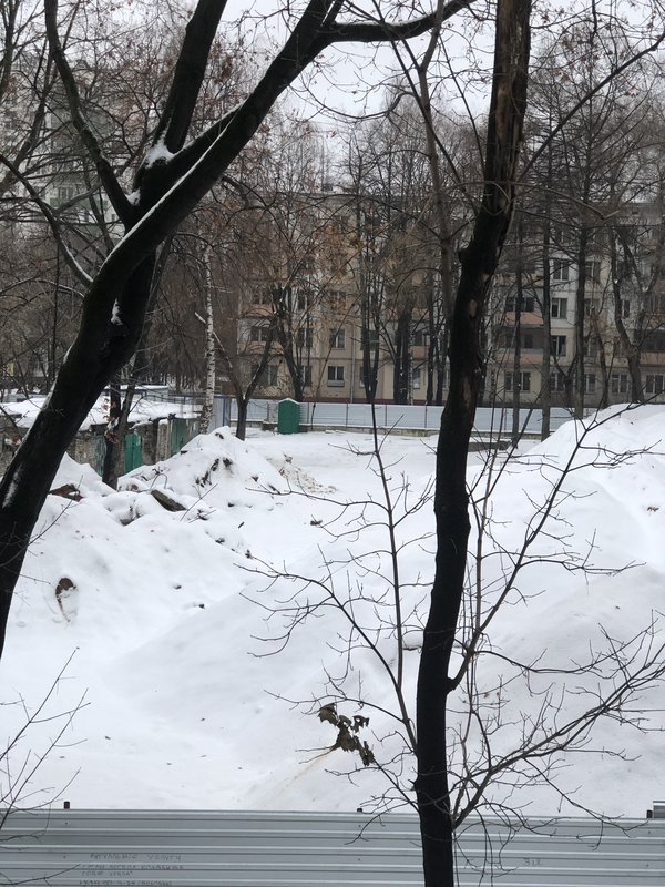  Ответить