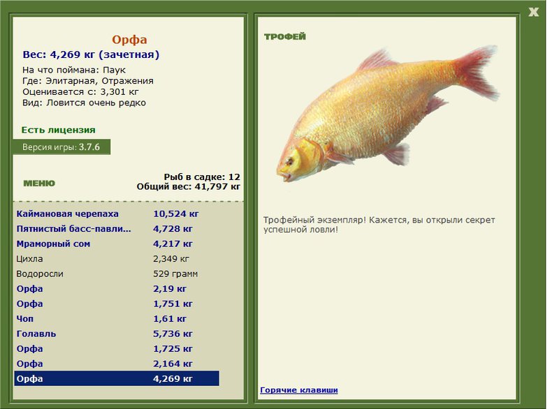 Орфа 
