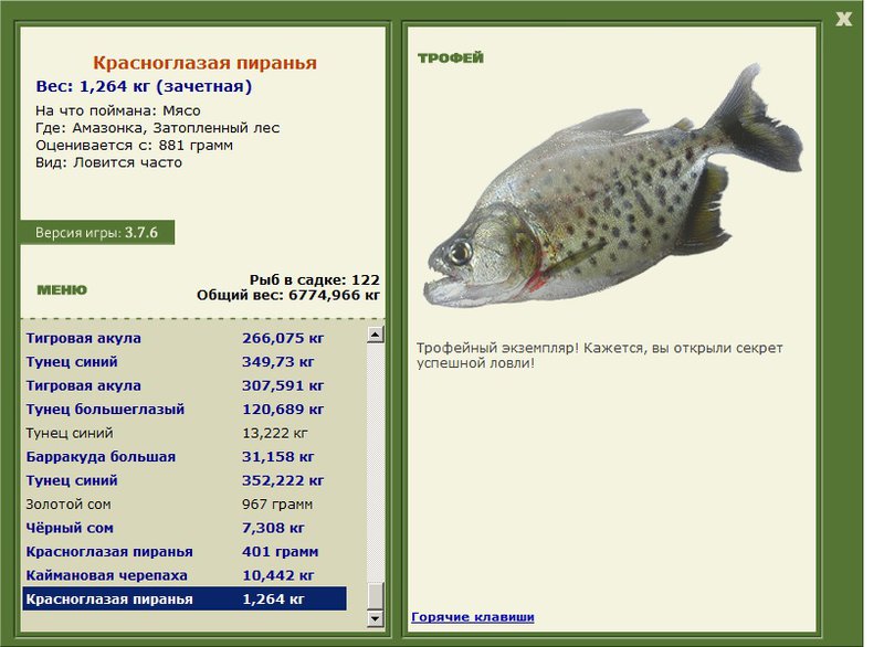 Красноглазая пиранья 
