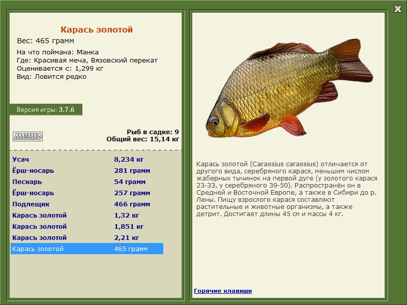 Вязовский перекат 