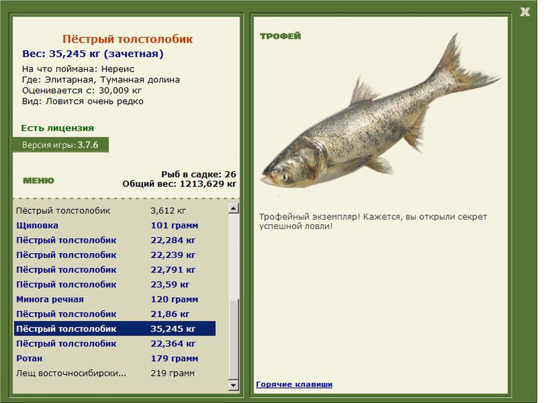 Туманная долина 