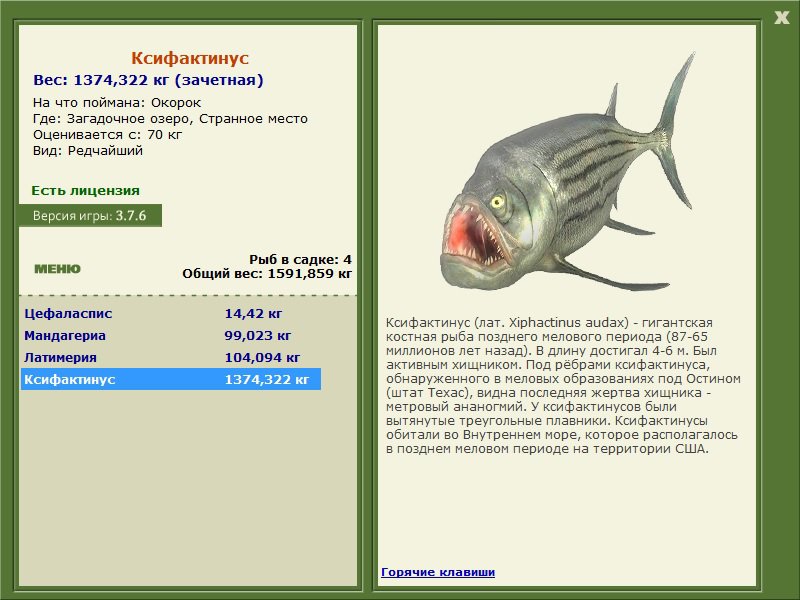 Ксифактинус 