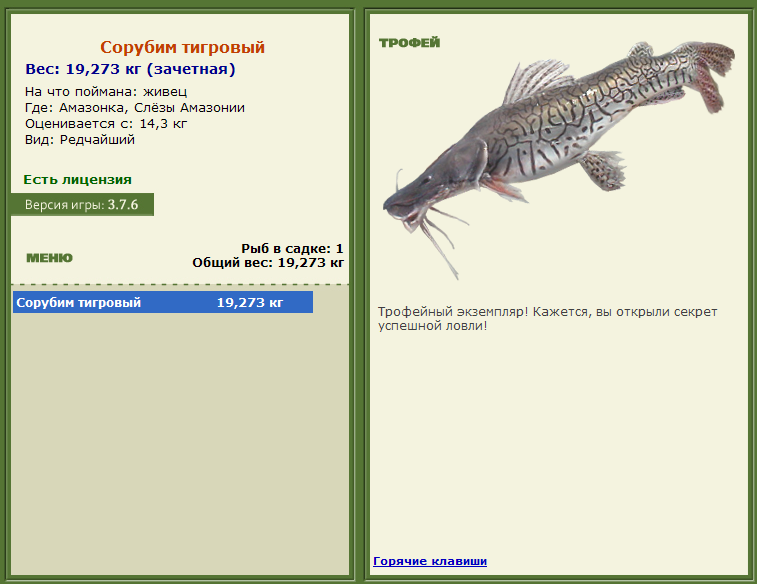 турниры • РУССКАЯ РЫБАЛКА