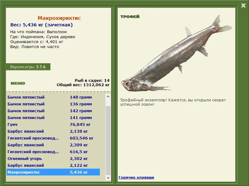 Сухое дерево 
